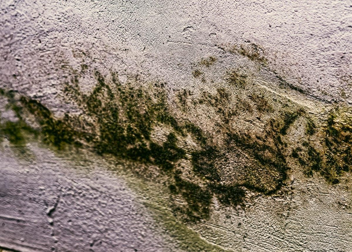 paredes con filtraciones