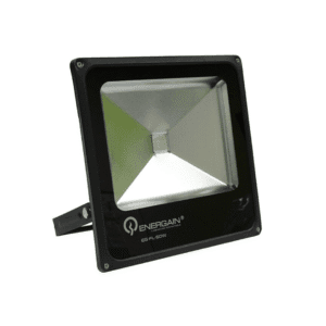 10 01 2024 05 25 10 695 REN0202.002.png