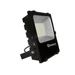 10 01 2024 05 25 11 704 REN0203.001.png